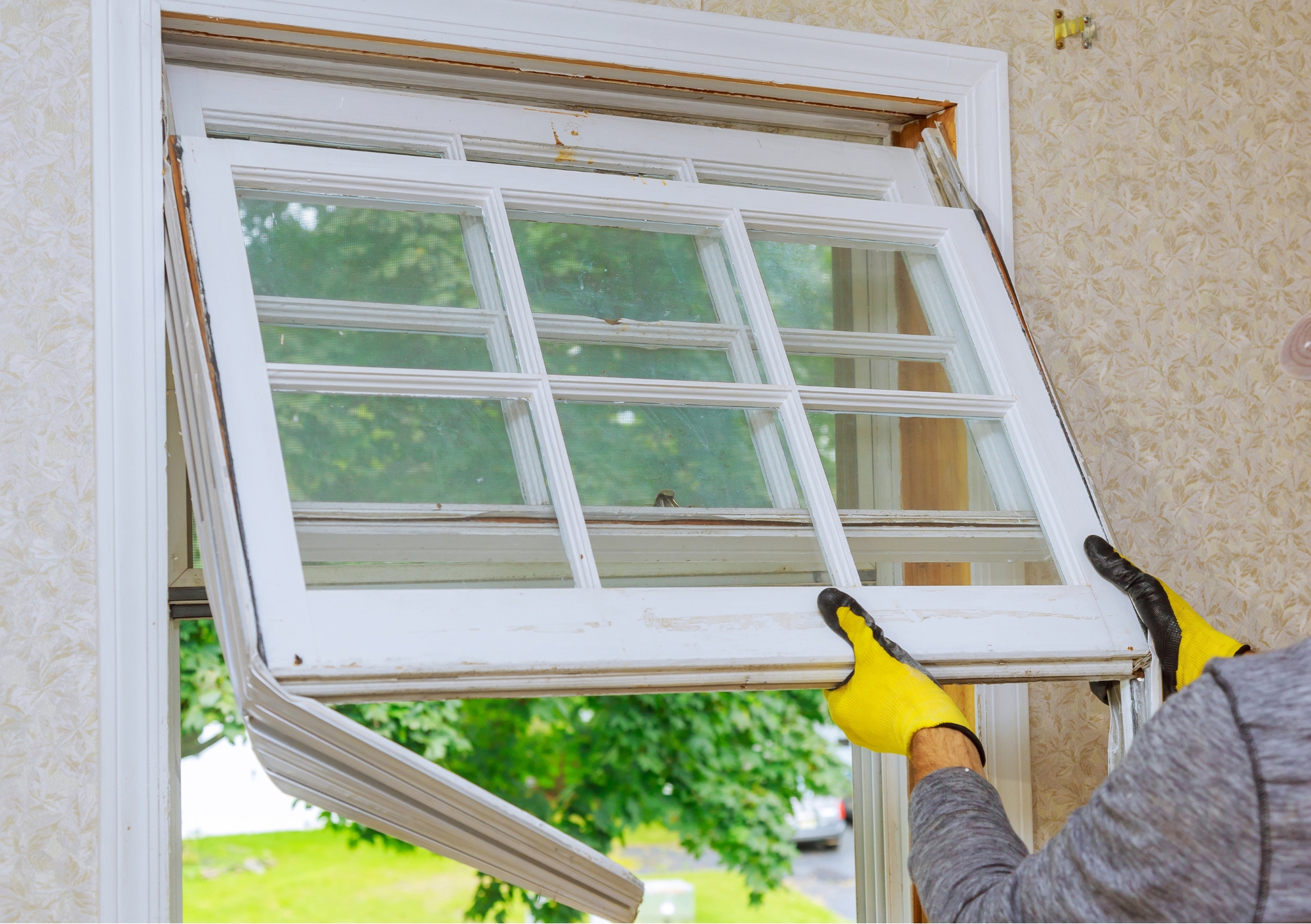 Window Renovation